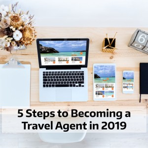 How to be a Travel Agent in 2019